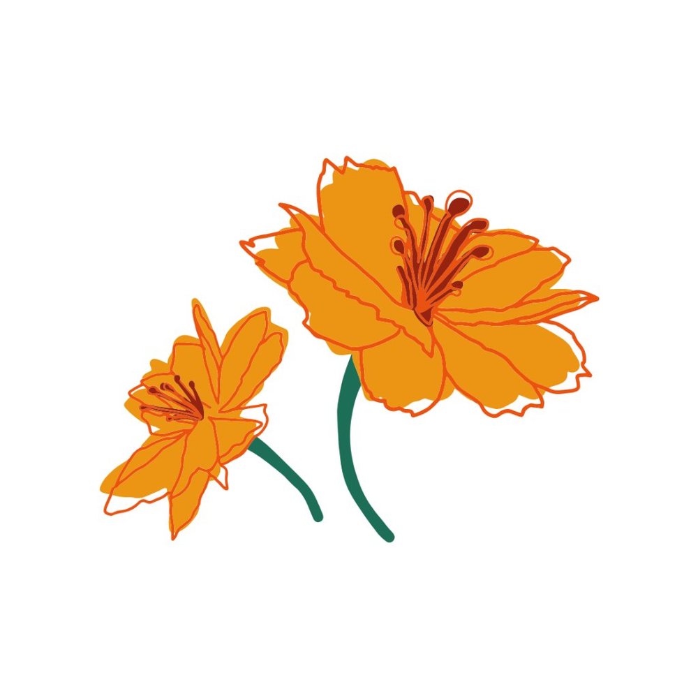 Meet your Posher, Eleni